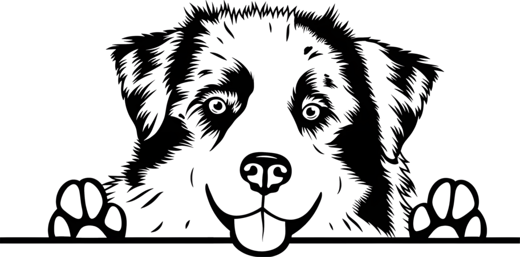 297686da A60b 41f2 8738 D33e3cd931c8