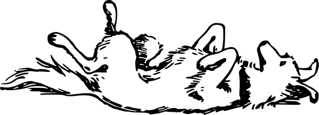 8acbe23b 96ef 4018 B1bc 3bc2a8ed3b8b